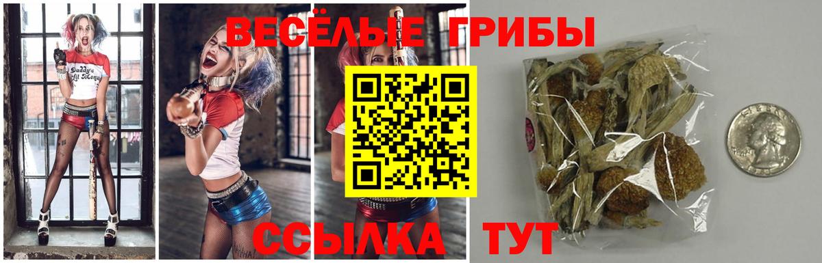 где найти наркотики  Галлюциногенные грибы ЛСД  Вход с VPN  Галлюциногенные грибы мухоморы  Учалы 