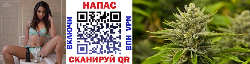 где можно купить наркотик  Учалы  Шишки марихуана сатива 